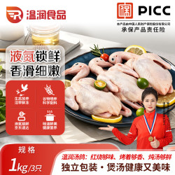 温润食品 温润汤鸽净重1000g/3只 冷冻汤鸽 液氮锁鲜 鸽子生鲜 源头直发