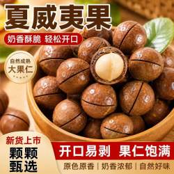 安和天心 夏威夷果精选大果奶香浓郁自然成熟零食干果办公室休闲解馋美味