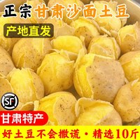 小黄鲜果 正宗甘肃定西土豆黄心马铃薯洋芋沙面高山旱沙地种植黄金薯10斤装