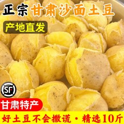 小黄鲜果 正宗甘肃定西土豆黄心马铃薯洋芋沙面高山旱沙地种植黄金薯10斤装