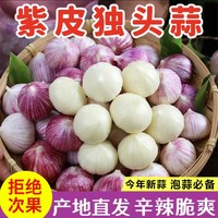 果笺 2026独头蒜大蒜头新鲜蒜紫皮圆头独蒜红辣蒜5斤蔬菜当季优质蔬菜