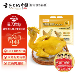 温氏 甄选盐焗土鸡2.6斤 古法秘制供港卤味熟食 加热即食 冷冻快手菜 1.3kg