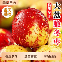 一棵果树 陕西大荔冬枣脆甜可口新鲜大枣红青枣冰糖鲜枣水果大枣子顺丰包邮