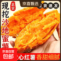 京喜 现挖沙地蜜薯空气炸锅红薯新鲜沙地板栗薯农家自种源头直发包邮 沙地蜜薯 9斤 含箱 中大果