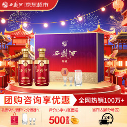 西凤酒 陶藏 8年52度礼盒 500ml*2 凤香型白酒 宴请 国庆节日送礼