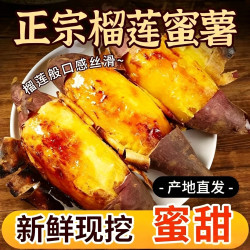 东鲜丰 正宗真榴莲蜜薯 4.5斤，严选单果100g+