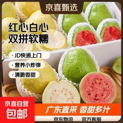 京喜加 福建 奶油芭乐 带箱 5斤 净重4.5斤 红白双拼 单果120g+