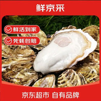 鲜京采 鲜活生蚝 5XL 9-12只 净重5斤 贝类