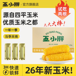 玉小胖 黄糯玉米4根*220g