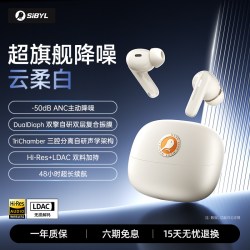 熙彼儿 WS300真无线蓝牙耳机入耳式旗舰主动降噪Hi-Res双料