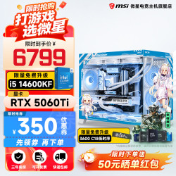 微星 i5-13600KF RTX5060 白色 组装电脑主机