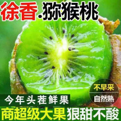 淘工厂 陕西正宗周至徐香猕猴桃奇异果新鲜当季孕妇水果大果整箱眉县中秋