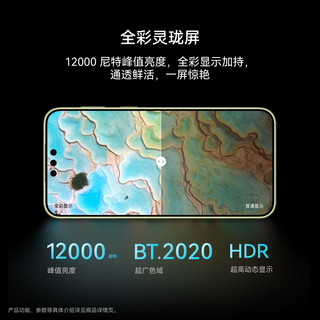 华为 Mate 90 Pro Max 曜石黑 16GB+1TB 全网通手机