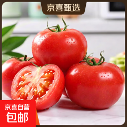 京喜 现摘沙瓤西红柿番茄可生吃现摘现发新鲜蔬菜减肥生鲜 精品小果 单果60g+ 400g 净重