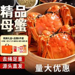 湖中秋色 全母大闸蟹2.0-2.3两8只去绳足重螃蟹鲜活海鲜生鲜水产中秋礼盒