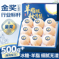 骄瑰 山东莱阳秋月梨新鲜梨子冰糖梨水果礼盒中秋送礼 5斤装