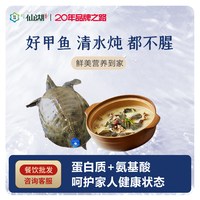 仙湖 甲鱼2斤汉寿甲鱼5年自然生长鲜活食用水鱼生鲜外塘中华鳖王八