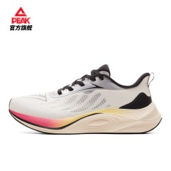 匹克 态极骋风2.0 DH510008 网面透气轻便 跑步鞋