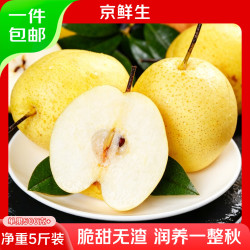 京鲜生 河北雪花梨王 净重5斤 单果500g+ 新鲜雪梨 生鲜水果 源头直发