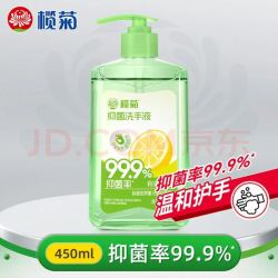 榄菊 抑菌洗手液 沁爽鲜柠 450mL