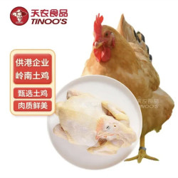 天农 土鸡 净重2.4斤 甄选清远本地鸡 冷冻 红烧煲汤食材