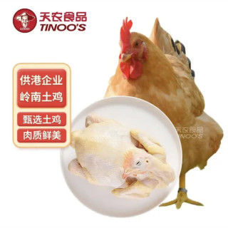 天农 土鸡 净重2.4斤 甄选清远本地鸡 冷冻 红烧煲汤食材