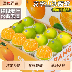铂果 哀牢山冰糖橙新鲜水果青皮橙子正宗云南甜脐冻褚冠当季整箱包邮9