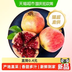 柠满园 正宗突尼斯软籽石榴新鲜水果当季红宝石石榴