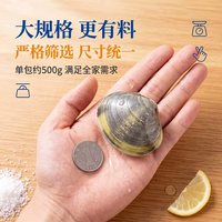 寰球邮鲜 丹东大文蛤 冷冻海鲜水产