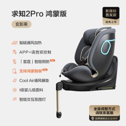 两只兔子 智能 儿童座椅 提篮