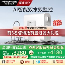 汉斯顿 0阻垢剂双水净水器家用直饮厨房自来水过ro反渗透纯水机C2