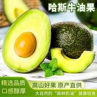 智宙 云南哈斯即食牛油果高原国产新鲜水果 绵密奶油感 宝宝辅食轻食 130g-160g 6枚
