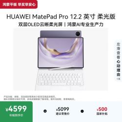 华为 MatePad Pro 12.2英寸 双层OLED柔光屏 WIFI版 幻影紫 12GB+512GB 平板电脑