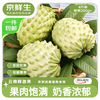 京鲜生 云南牛奶释迦果 净重4斤 单果250g+