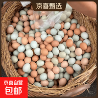 京东 九华山林间绿壳乌鸡蛋混合装新鲜宝宝营养蛋整箱35-45g 50枚（25枚土鸡蛋+25枚乌鸡蛋）