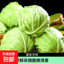 宁夏 新鲜种植包菜甘蓝卷心菜农家种植产地直发3斤5斤6斤9斤 宁夏甘蓝9斤-10斤（净重8.5）