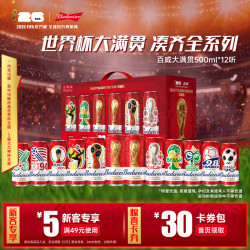 百威 世界杯大满贯啤酒 500ml*12听