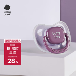 babycare 莫兰迪系列 RWC003-03A 安抚奶嘴 潘帕斯 L