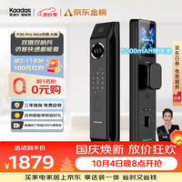凯迪仕 P30 Pro Max 双摄AI版 电子智能锁 幻影黑