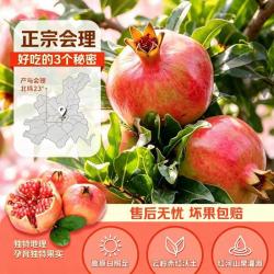 京喜加 四川 突尼斯软籽石榴 带箱 5 斤 净重 4.5 斤 +
