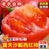 移动端：蹊蹊的小菜园 新鲜老品种沙瓤西红柿正宗云南露天水果番茄现摘自然熟蔬菜包邮