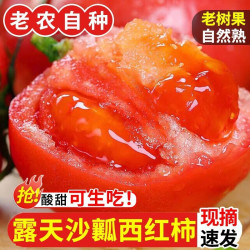 蹊蹊的小菜园 新鲜老品种沙瓤西红柿正宗云南露天水果番茄现摘自然熟蔬菜包邮