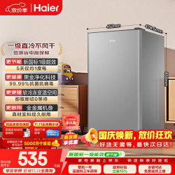 海尔 BC-93GHSDE0S9 一级能效节能 星辉银 93L 单门冰箱