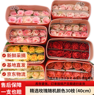 今日必买：京东鲜花 精选玫瑰 随机色 30枝 40cm