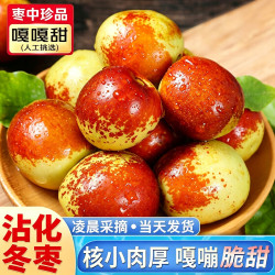 东鲜丰 山东沾化冬枣 脆甜冬枣新鲜时令水果现摘现发 彩箱净重4.5斤大果
