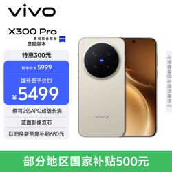 vivo X300 Pro 卫星通信版 5G手机 12GB+512GB 旷野棕