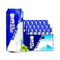 宅家食光：雪花 啤酒 勇闯天涯 500mL 24罐 整箱装
