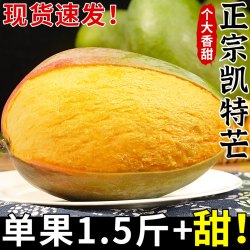 探味君 正宗凯特芒新鲜芒果当季大果澳芒青皮现摘甜心芒特产热带水果整箱