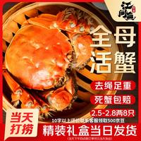 江问鱼 鲜活大闸蟹螃蟹全母足斤足两生鲜 2.3-2.6两10只装 源头直发 全母蟹2.3-2.6两 10只装