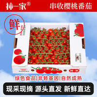 京鲜生 串收小番茄 玲珑串 1kg